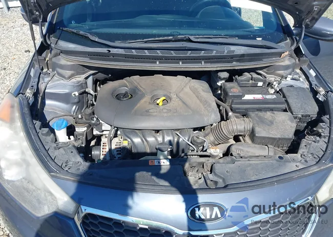 KNAFX4A88G5552325: 41596002