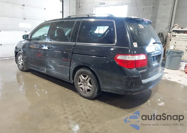 5FNRL38727B036396: 41599170