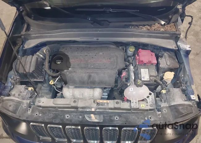 ZACNJDBBXMPM41852: 41598449