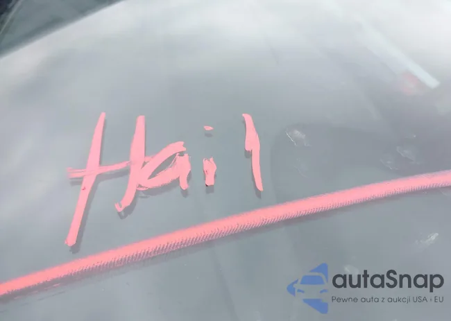 1GNKRGKD1GJ258613: 41598474