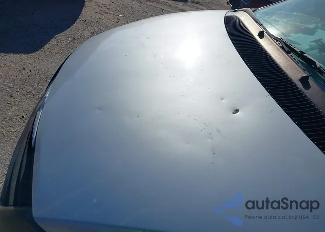 2A4GP44R67R191010: 41606195