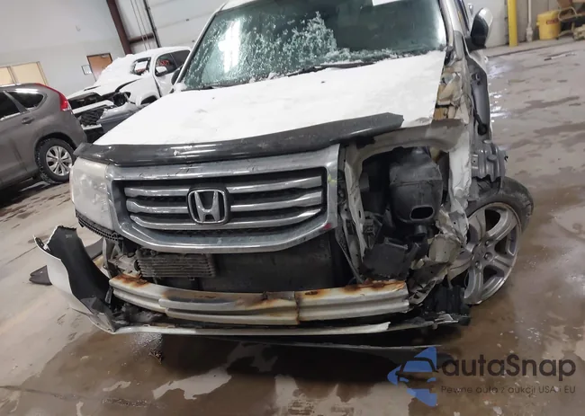 5FNYF4H50DB504810: 41608257