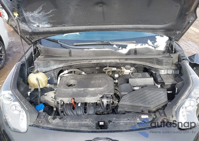 KNDPM3AC2L7751562: 41611826