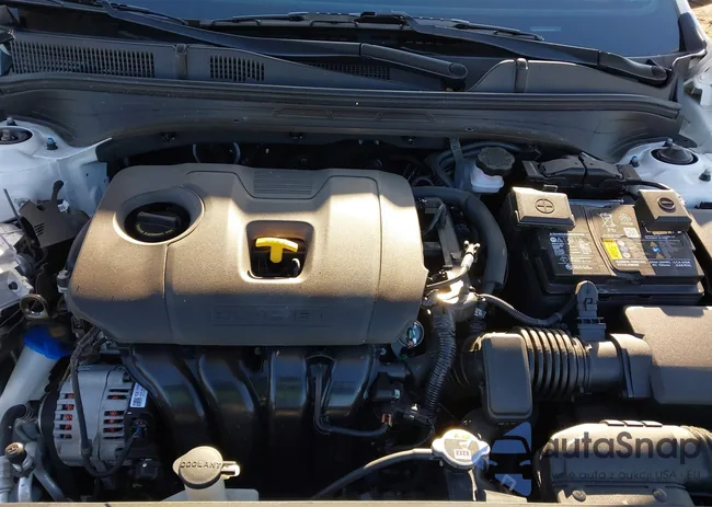 3KPF54AD2PE516771: 41613623