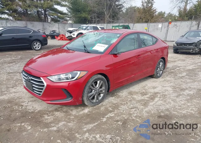 5NPD84LF5HH176204: 41618394