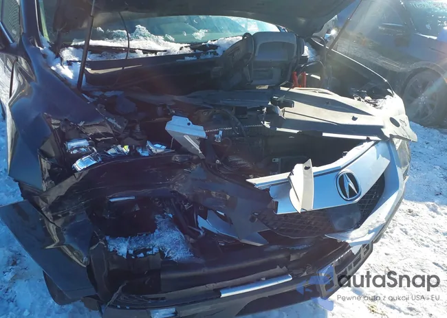 2HNYD2H84DH504446: 41620104