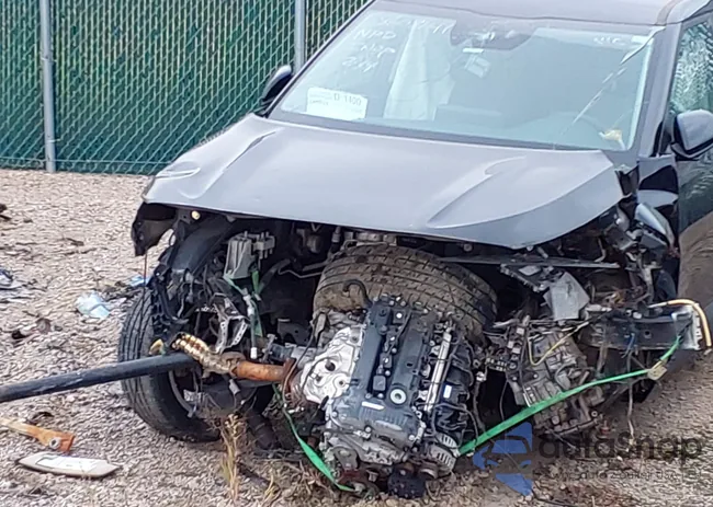 KNDEPCAA7P7375895: 41625708