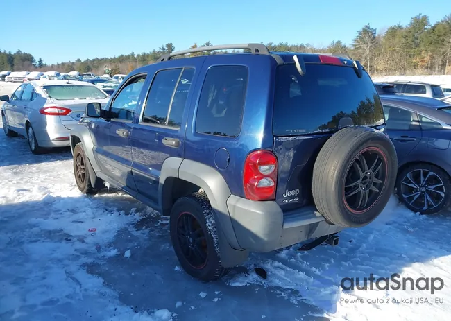 1J4GL48K96W130359: 41628076