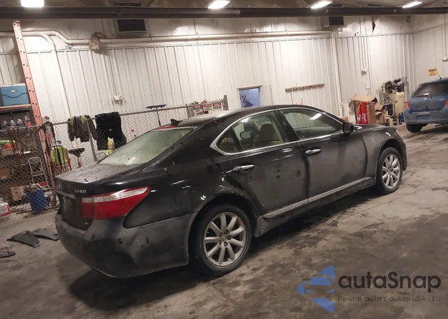 JTHCL46F895004383: 41628874