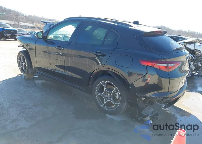 ZASPAJAN7M7D11747: 41643053