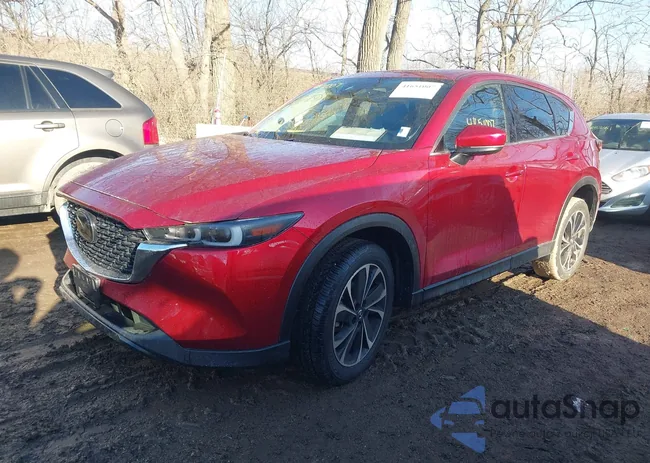 JM3KFBDM8P0195492: 41651007