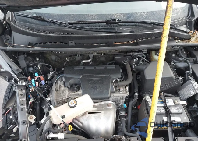 JTMBFREV8JJ221731: 41660163