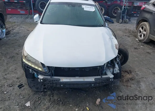 1HGCR3F97DA040801: 41662028