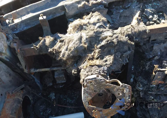 WDBRF54H97F850590: 41662157