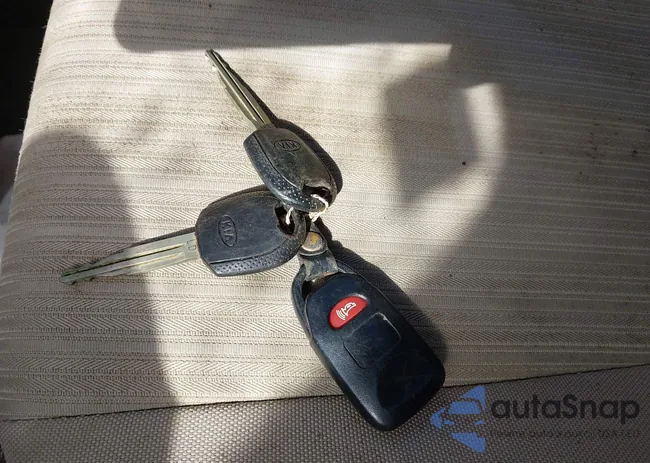 KNDKG3A41A7723565: 41664063