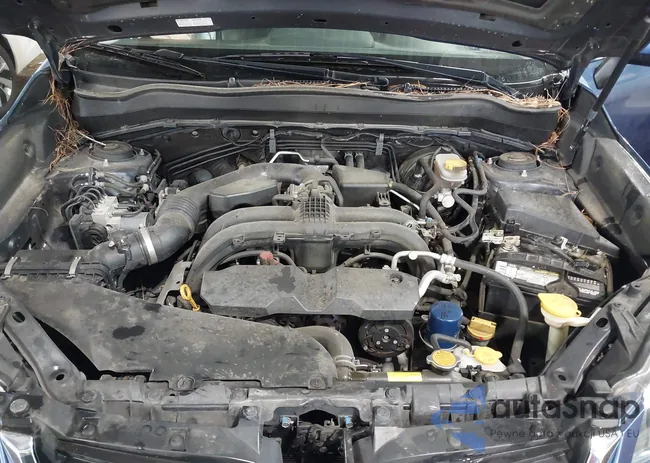 JF2SJAWC7HH422648: 41664828