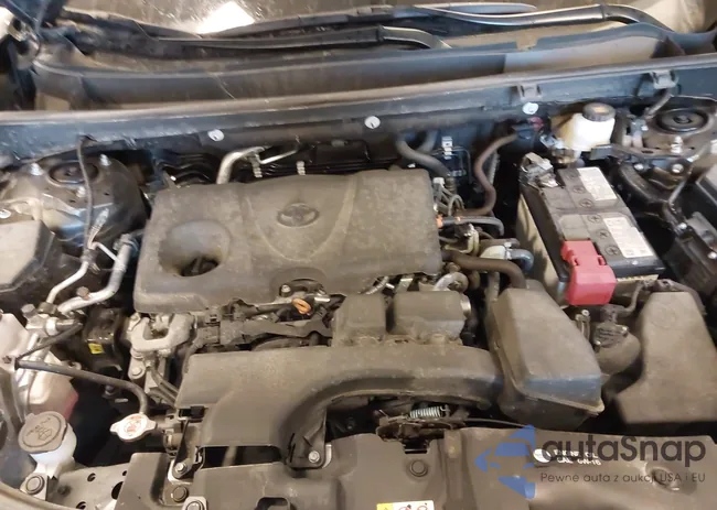 2T3W1RFV4PW295950: 41668879