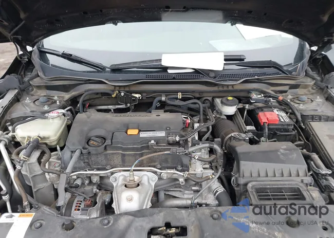 2HGFC2F85LH531559: 41679996