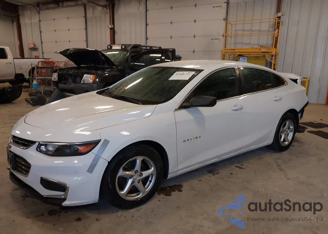 1G1ZB5ST4GF282424: 41686711