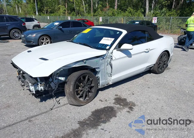 1FATP8UHXK5205196: 41688651