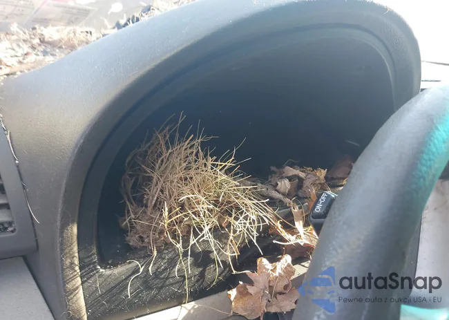 4T1BE46K49U303262: 41688743