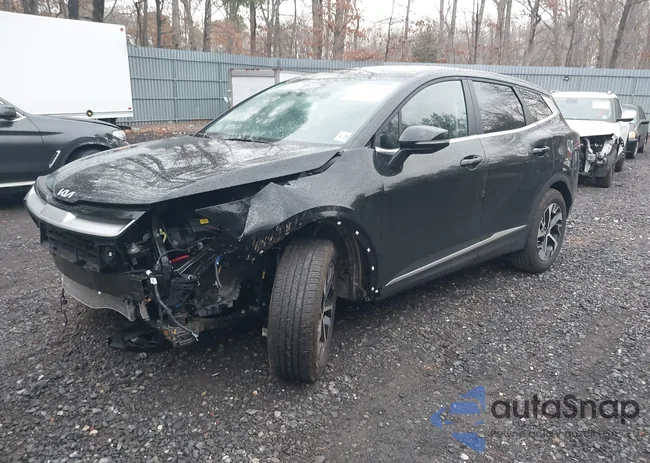 5XYK33DF3RG194384: 41690231