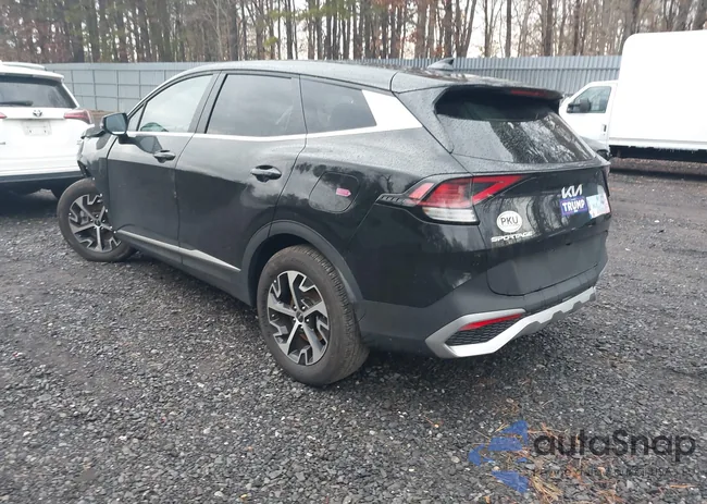 5XYK33DF3RG194384: 41690231