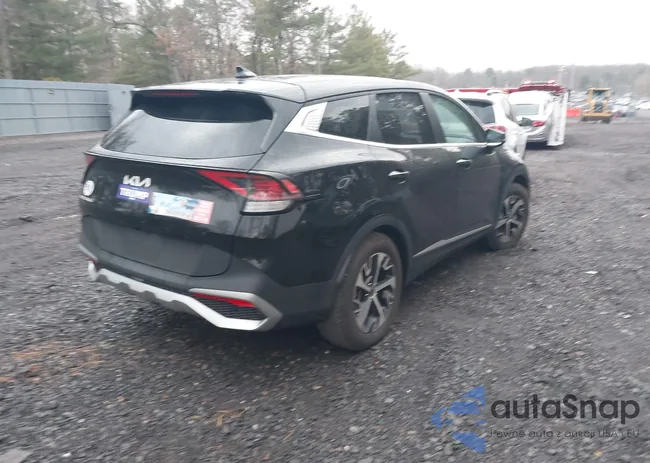 5XYK33DF3RG194384: 41690231