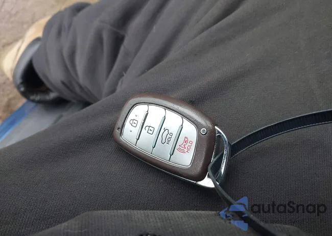 5NPD84LF9HH061119: 41691304