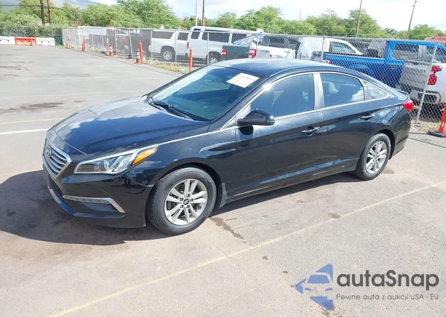 5NPE24AF6FH104465: 41693097