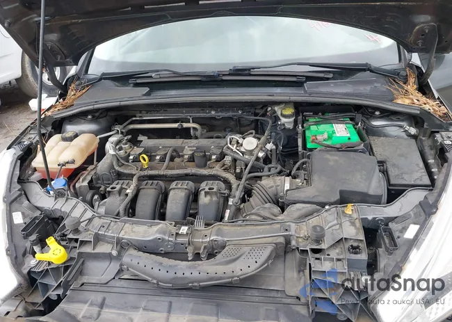 1FADP3E22GL376254: 41696024