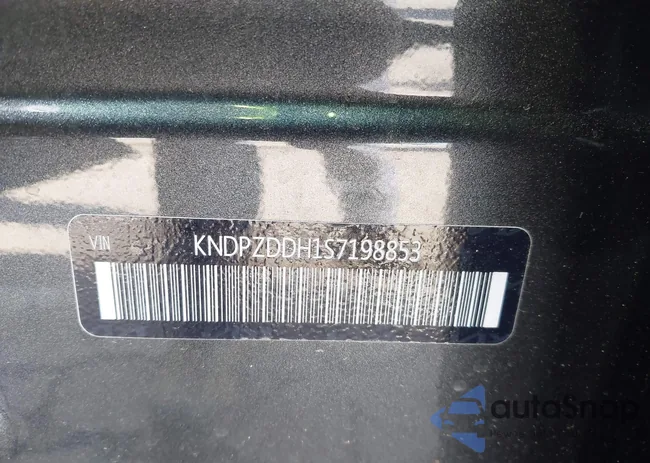 KNDPZDDH1S7198853: 41697413