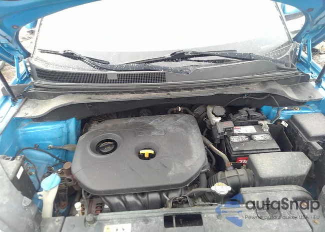 KNDJP3A5XG7311884: 41698770