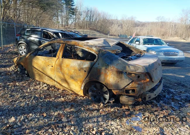 1G4GC5ED1BF112106: 41699635