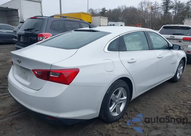 1G1ZC5ST6PF149984: 41704982