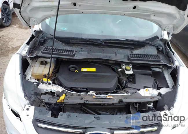 1FMCU9GX4FUB73980: 41708882