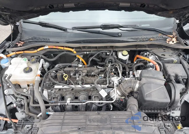 1FMCU0BZ3MUB03520: 41709788