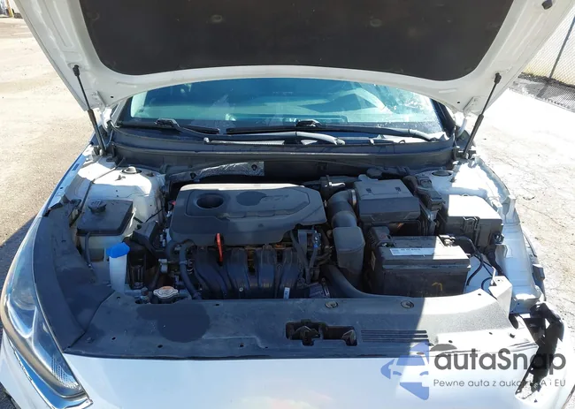 5NPE24AF5KH738070: 41710923