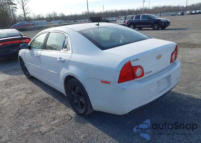 1G1ZB5E17BF318545: 41714369