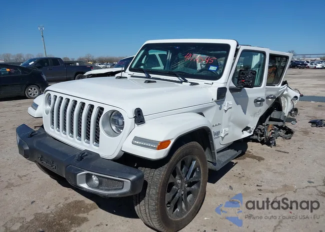 1C4JJXP62MW724232: 41716545