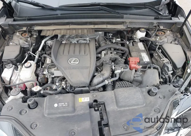 2T2AGCEZ5PC021950: 41719566