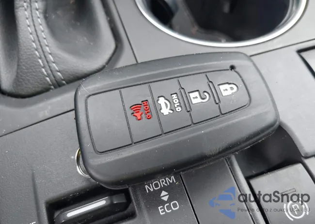 5TDKDRAH8PS045667: 41719988