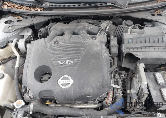 1N4AA5AP8EC437198: 41720946