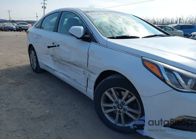 5NPE24AF7FH089202: 41723430