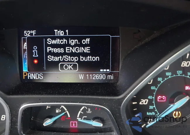 1FADP3N21DL173996: 41724755