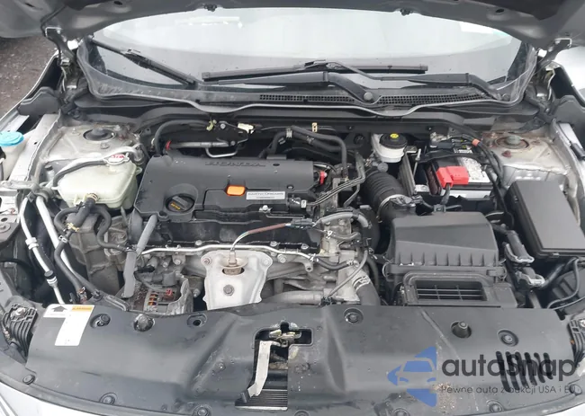 19XFC2F51JE202256: 41726828