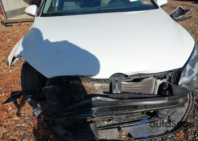 3VW217AU8HM010314: 41730808