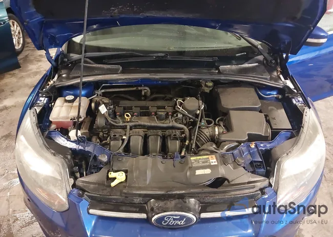 1FADP3N24DL138157: 41730349