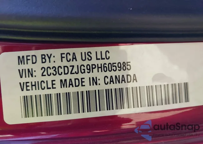 2C3CDZJG9PH605985: 41741857