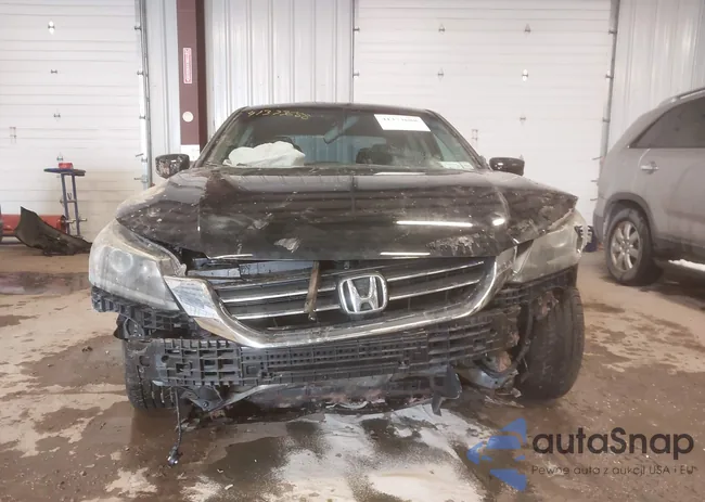 1HGCR2E57DA184650: 41744045